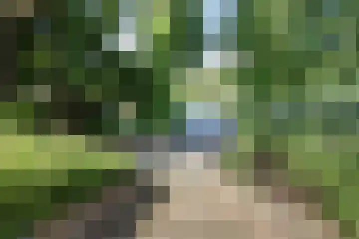 Mayersloot 12 Broek op Langedijk thumbnail 35