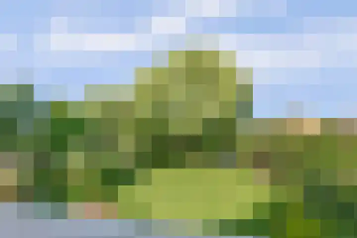 Mayersloot 12 Broek op Langedijk thumbnail 38