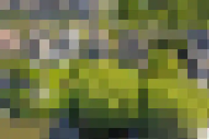 Mayersloot 12 Broek op Langedijk thumbnail 4