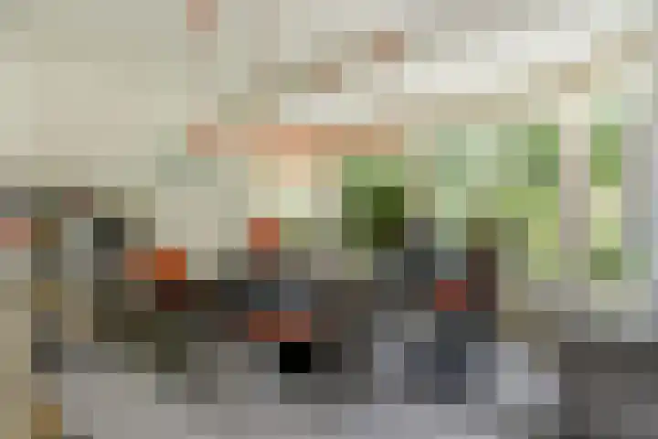Mayersloot 14 Broek op Langedijk thumbnail 17