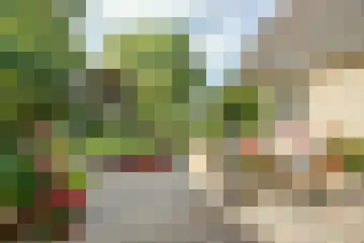 Mayersloot 14 Broek op Langedijk thumbnail 38