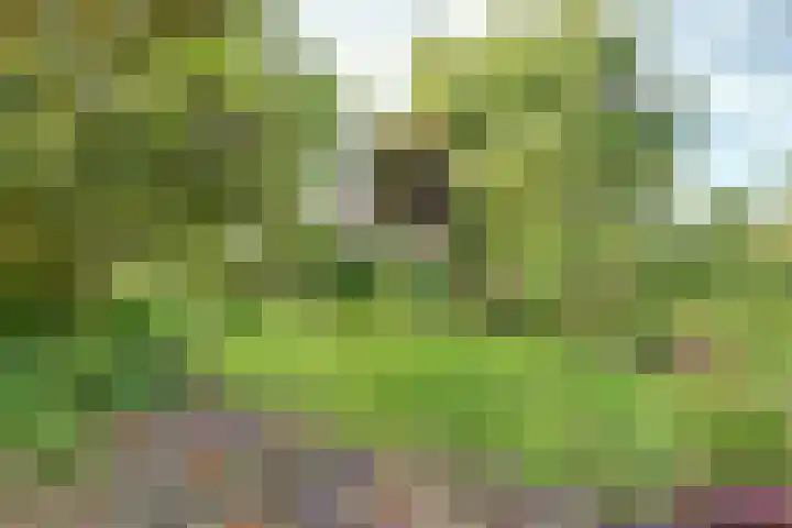 Mayersloot 14 Broek op Langedijk thumbnail 39