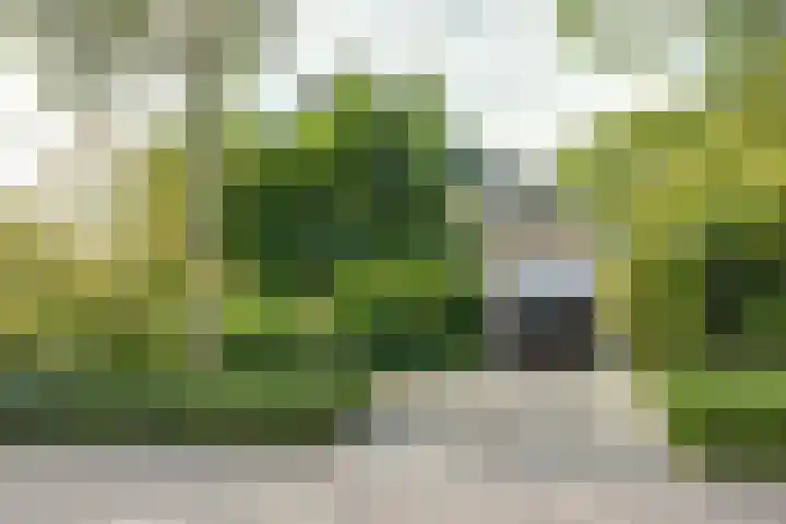 Mayersloot 14 Broek op Langedijk thumbnail 4