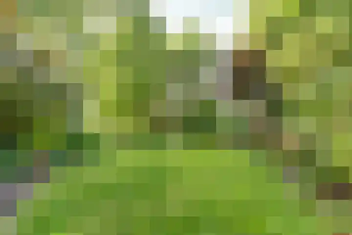 Mayersloot 14 Broek op Langedijk thumbnail 40