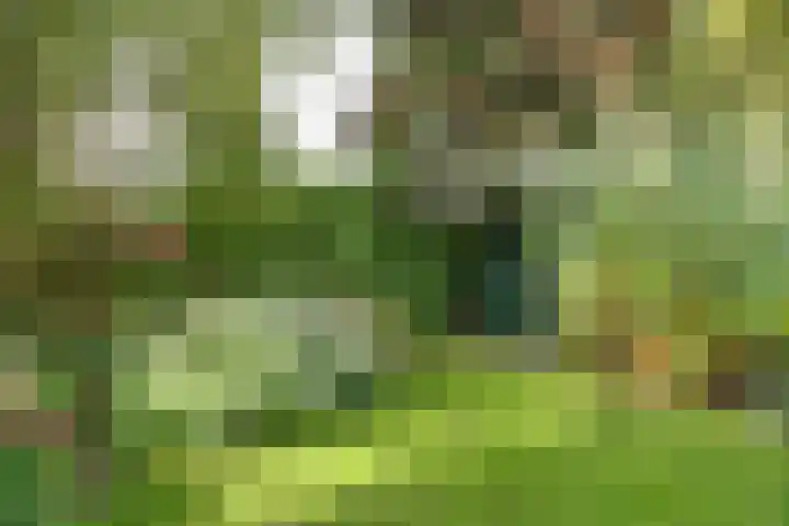 Mayersloot 14 Broek op Langedijk thumbnail 41