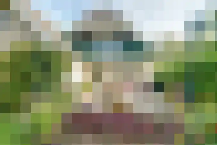 Mayersloot 14 Broek op Langedijk thumbnail 42
