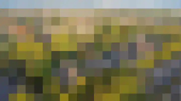 Mayersloot 14 Broek op Langedijk thumbnail 44