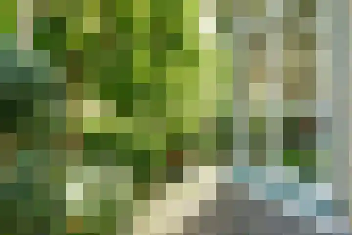 Mayersloot 14 Broek op Langedijk thumbnail 6