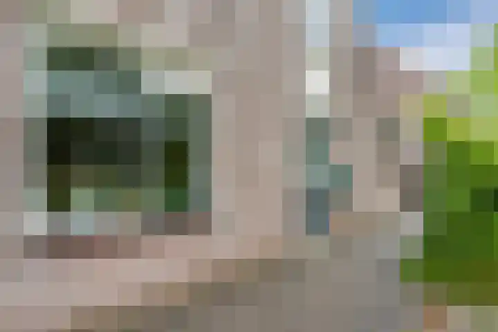 Mayersloot 21 Broek op Langedijk thumbnail 4