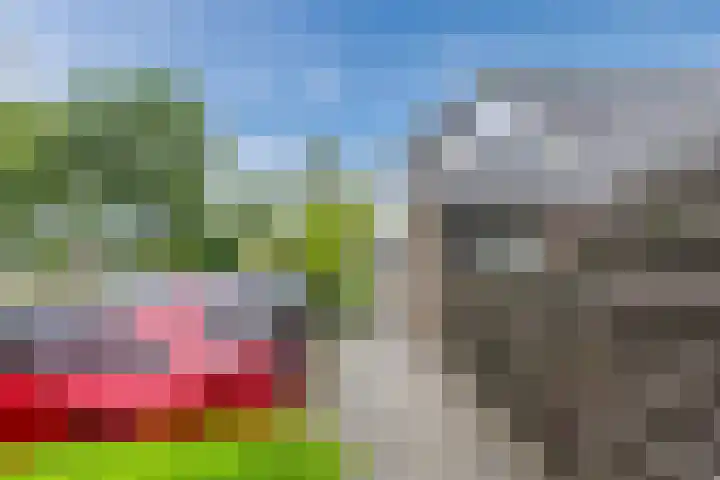 Mayersloot 21 Broek op Langedijk thumbnail 42