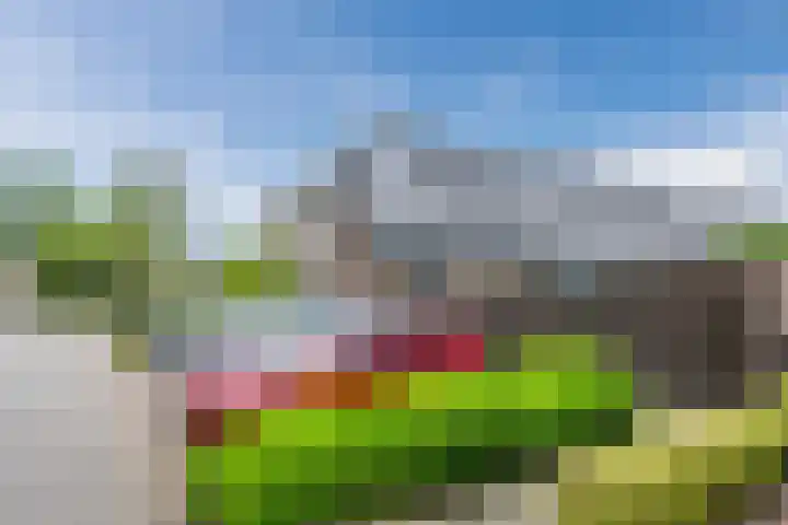 Mayersloot 21 Broek op Langedijk thumbnail 43