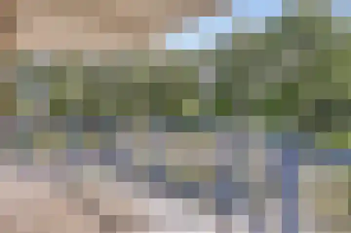 Mayersloot 28 Broek op Langedijk thumbnail 16
