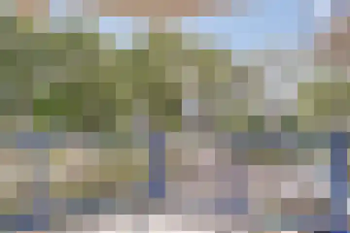 Mayersloot 28 Broek op Langedijk thumbnail 17