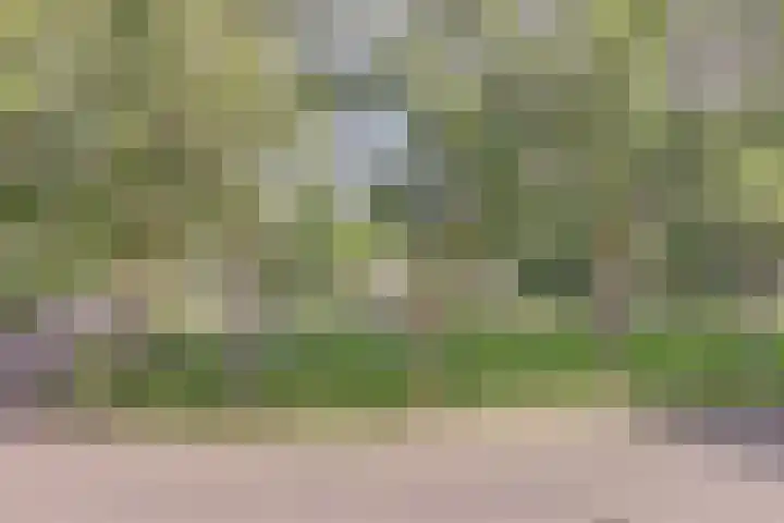 Mayersloot 28 Broek op Langedijk thumbnail 22