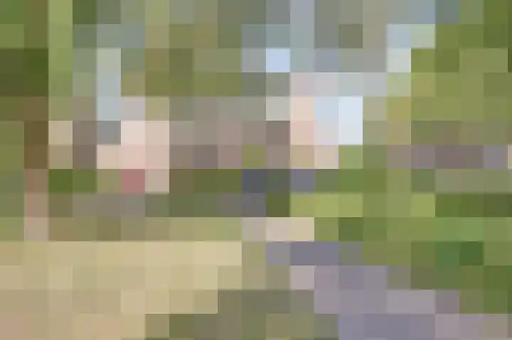 Mayersloot 28 Broek op Langedijk thumbnail 32