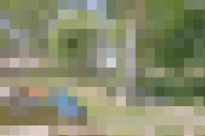 Mayersloot 28 Broek op Langedijk thumbnail 33
