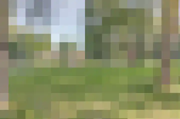 Mayersloot 28 Broek op Langedijk thumbnail 34