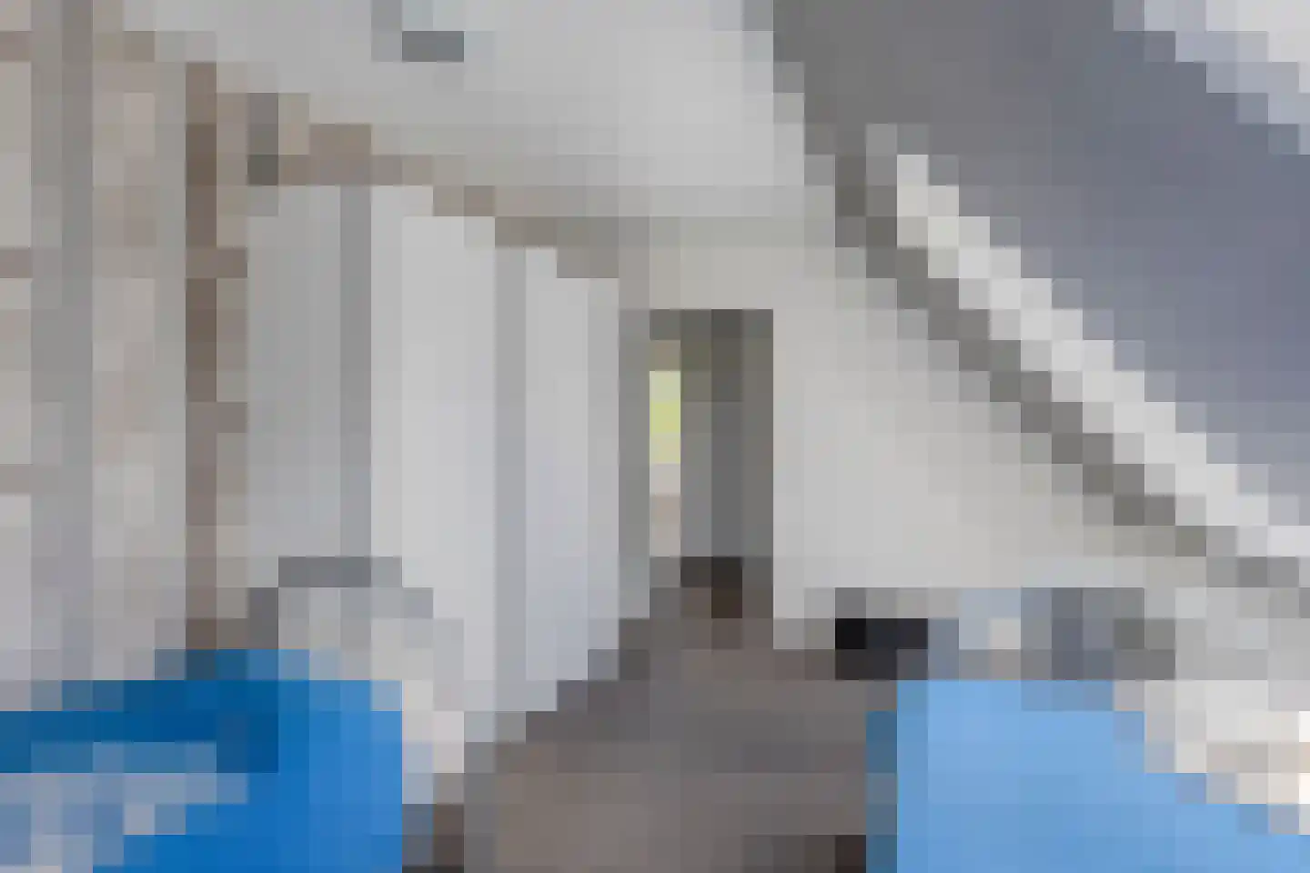Mayersloot 4 Broek op Langedijk thumbnail 30