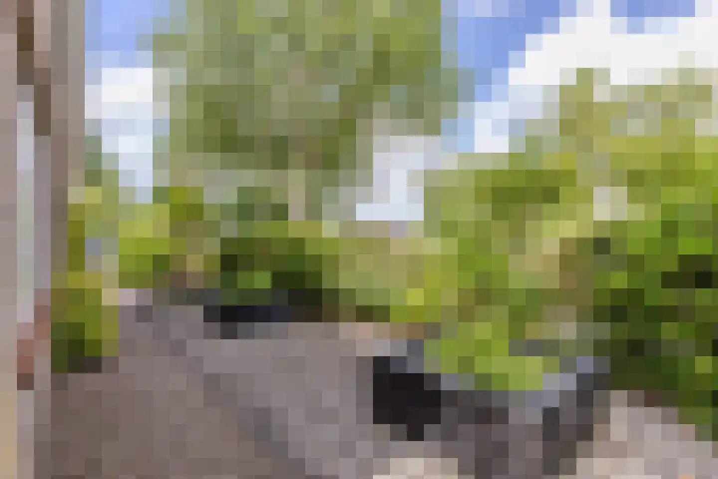 Mayersloot 4 Broek op Langedijk thumbnail 44