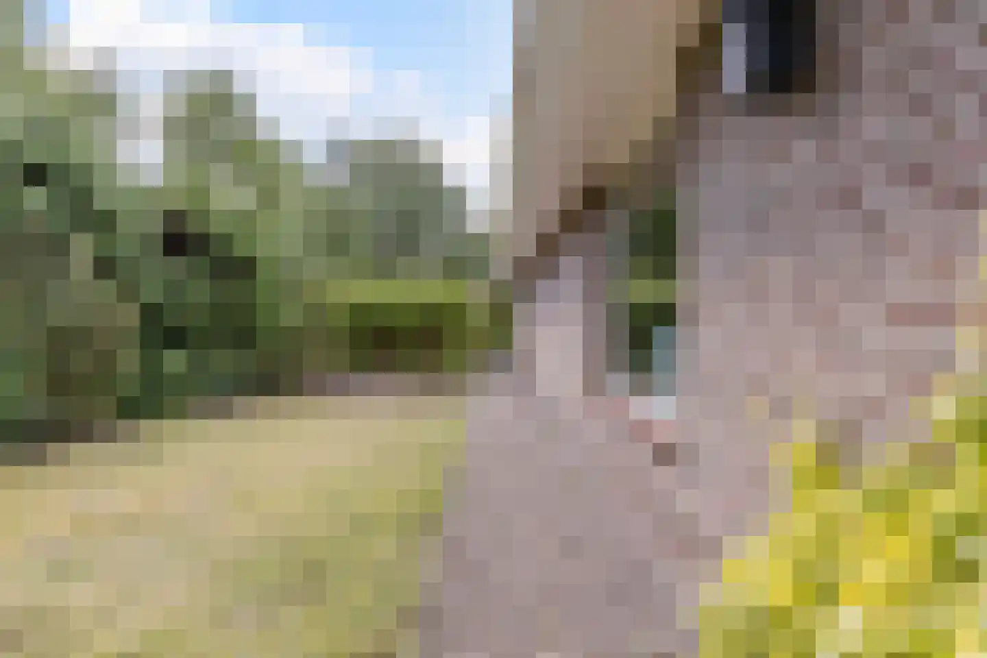 Mayersloot 4 Broek op Langedijk thumbnail 46