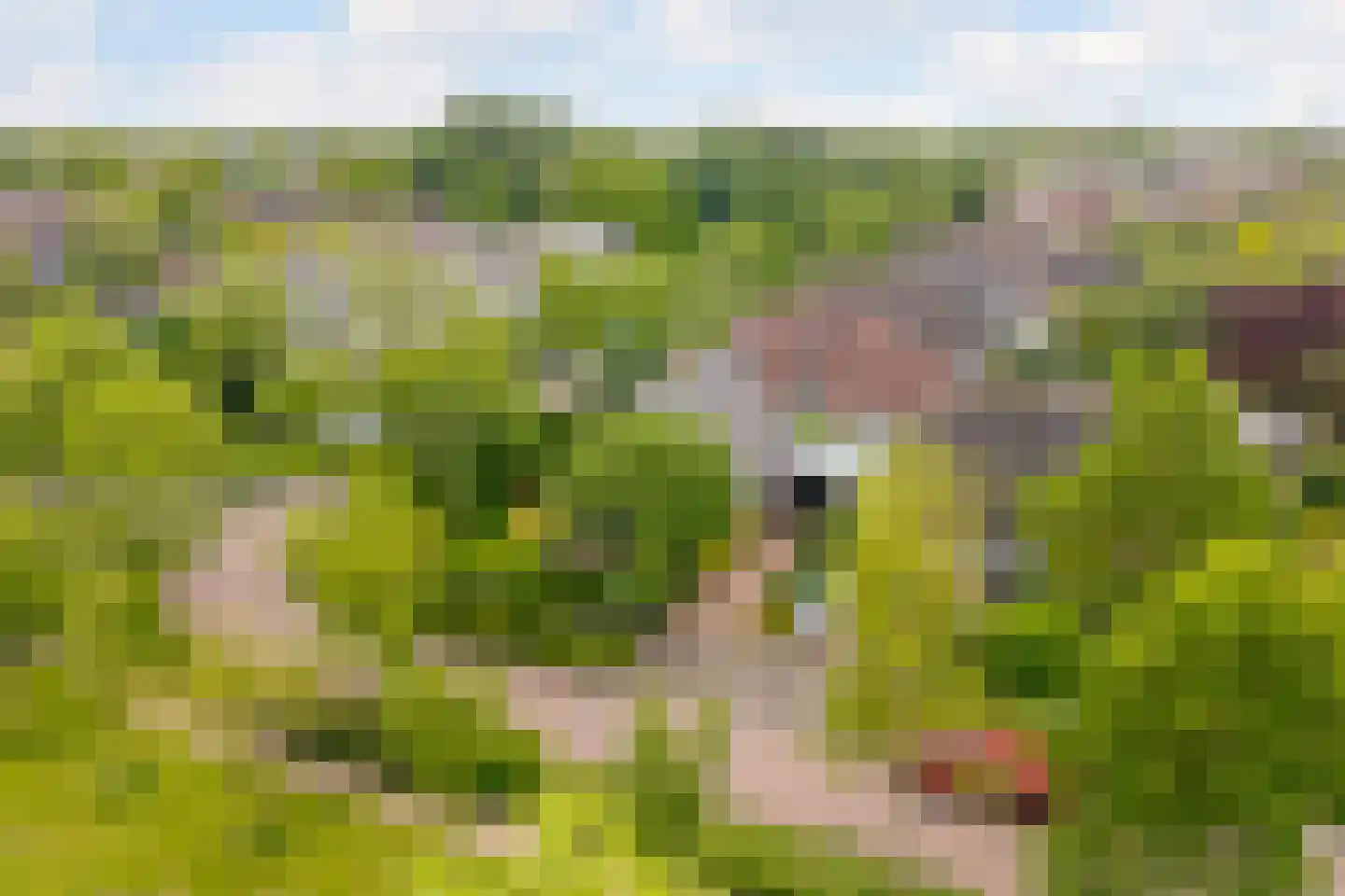 Mayersloot 4 Broek op Langedijk thumbnail 50