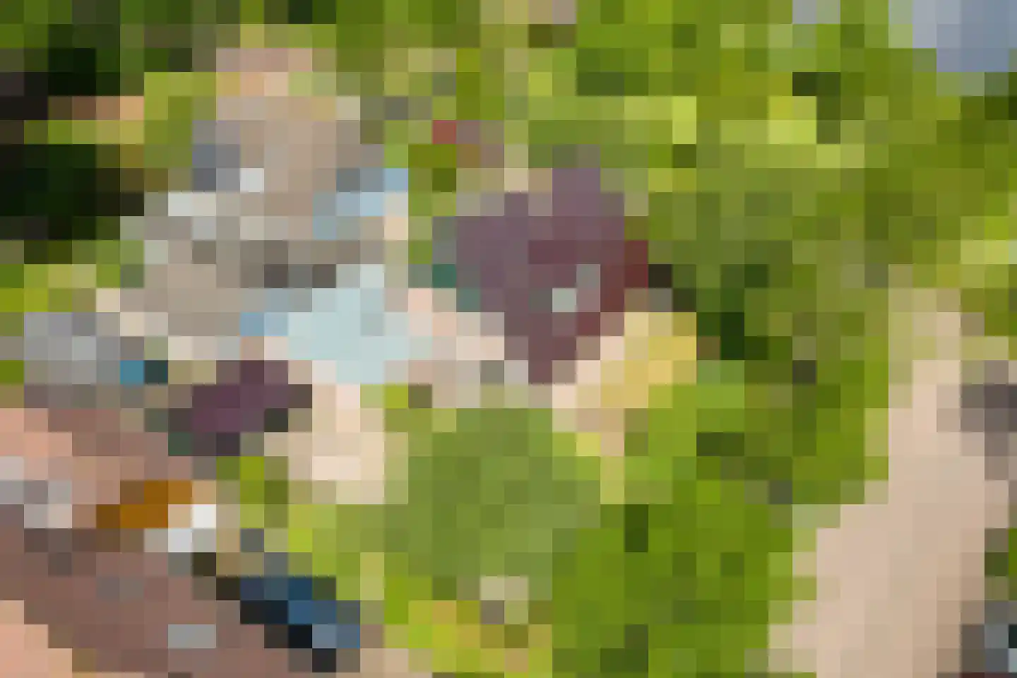 Mayersloot 4 Broek op Langedijk thumbnail 53