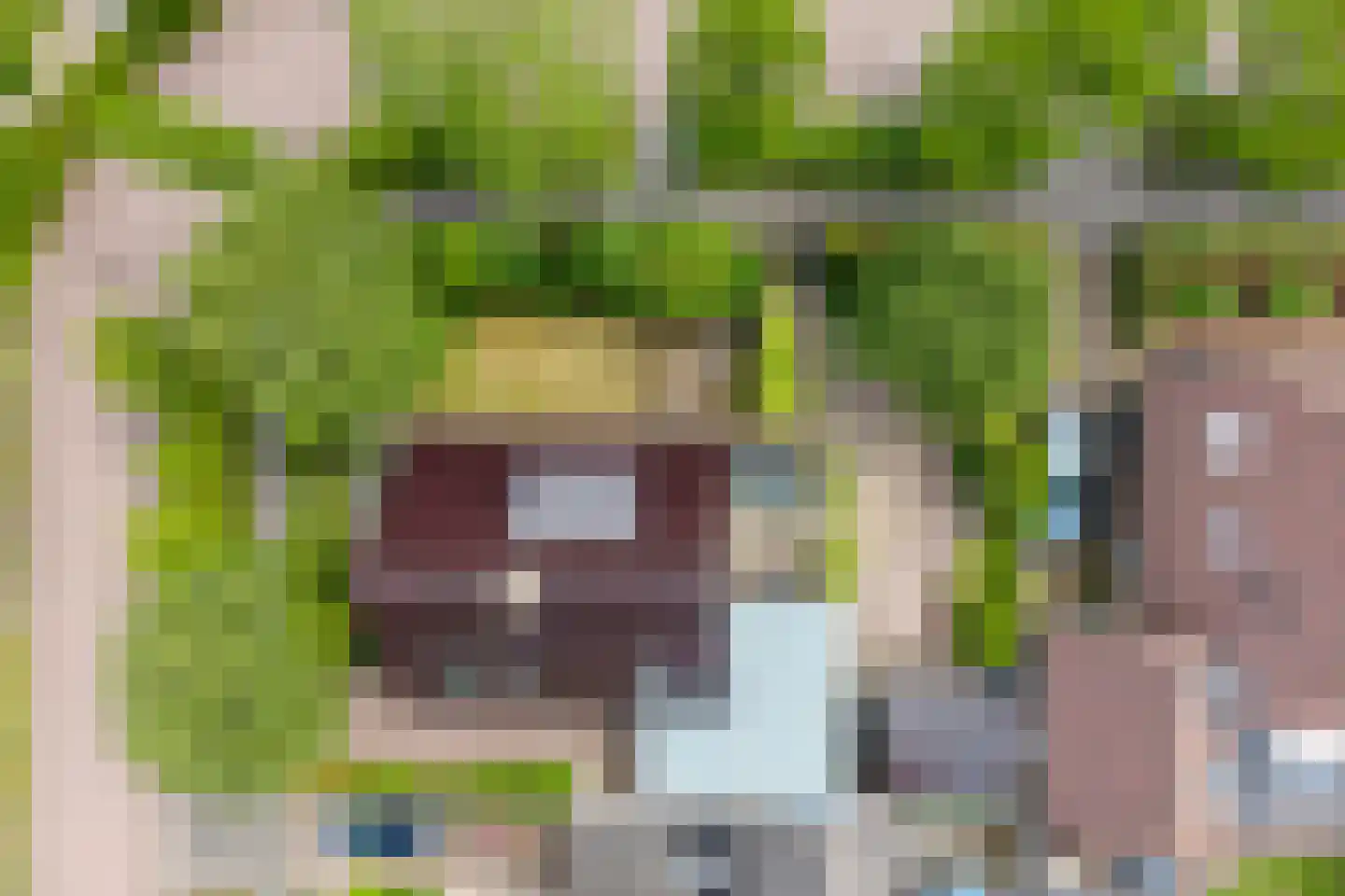 Mayersloot 4 Broek op Langedijk thumbnail 54