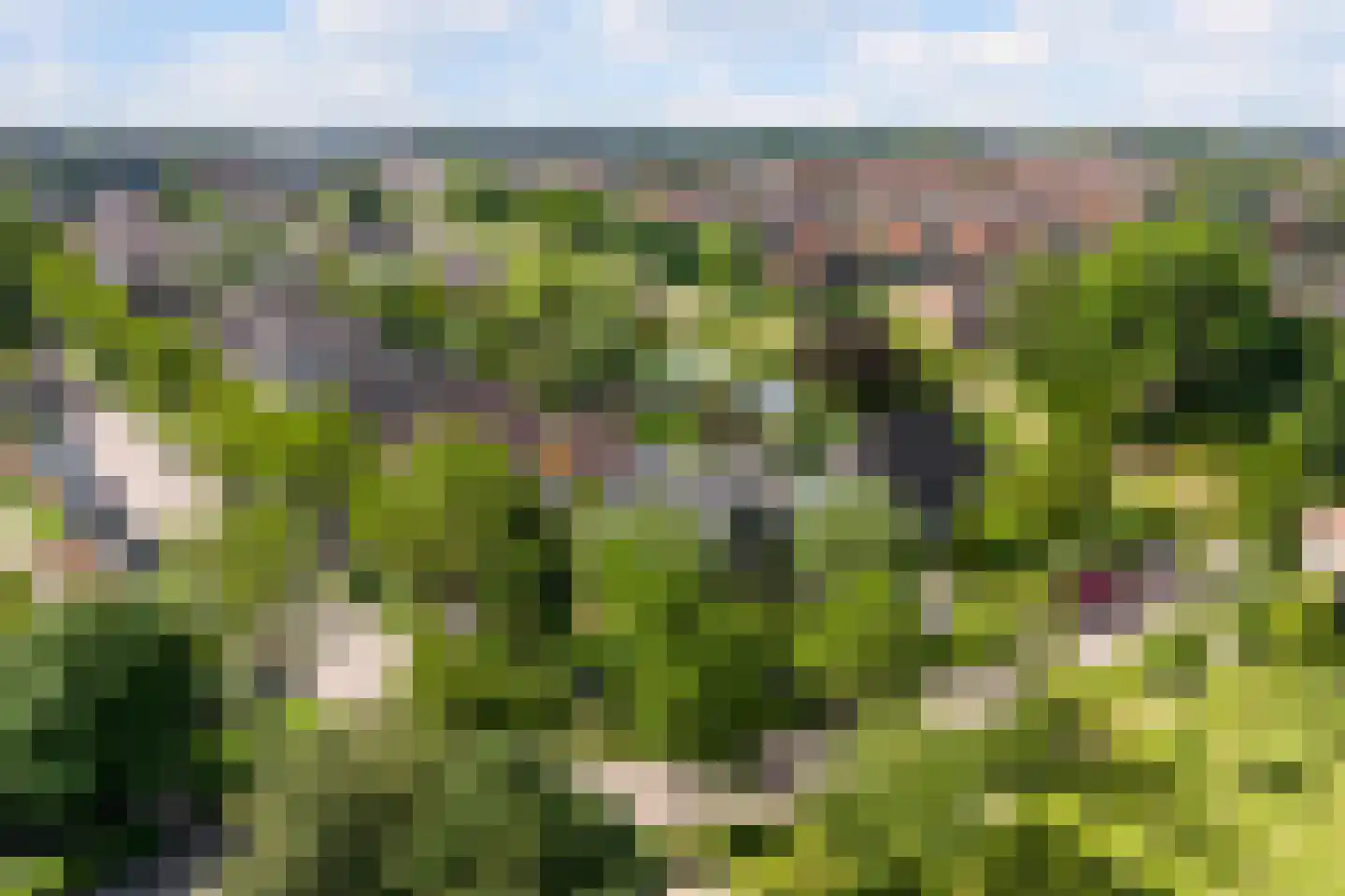 Mayersloot 4 Broek op Langedijk thumbnail 55