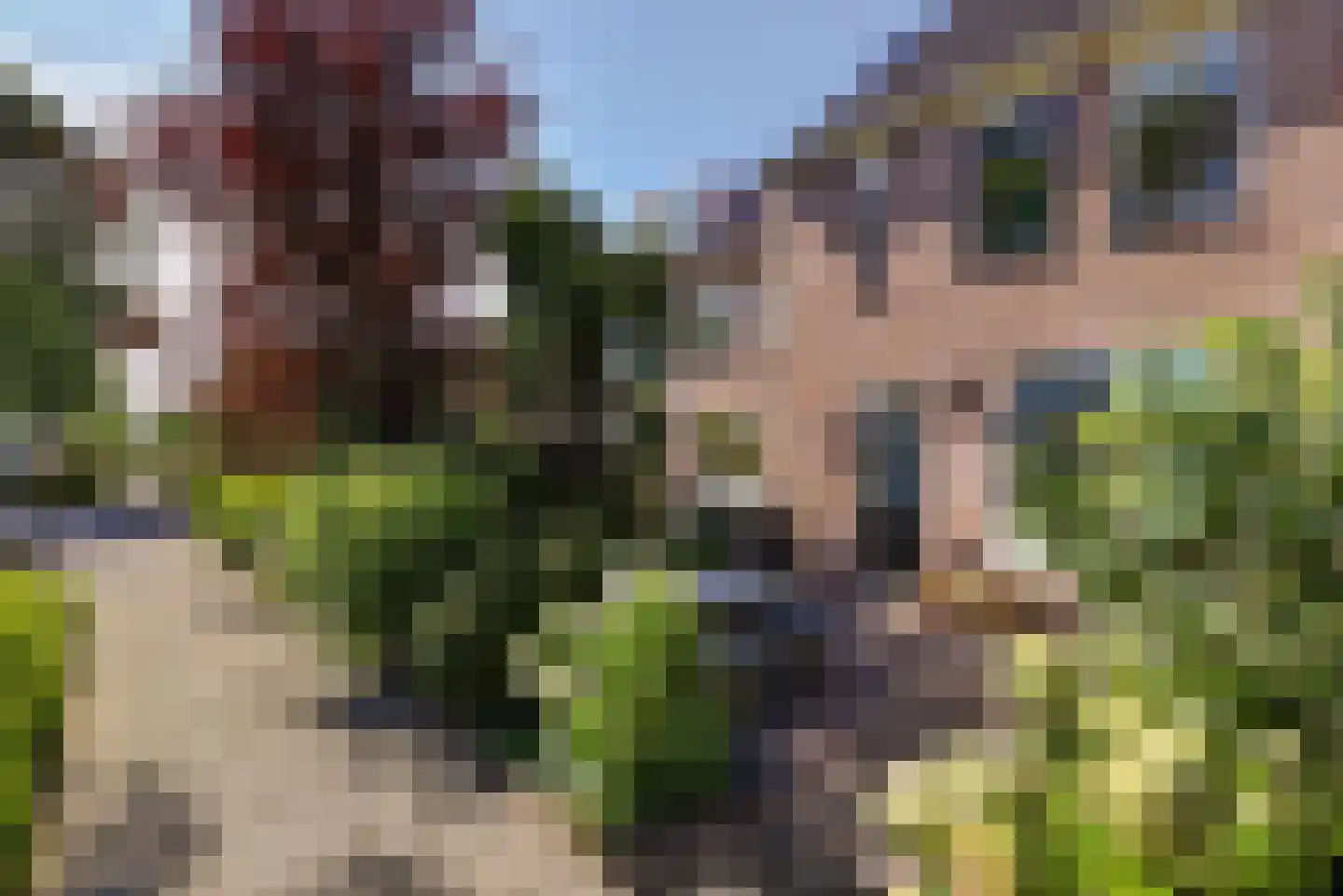 Mayersloot 44 Broek op Langedijk thumbnail 47