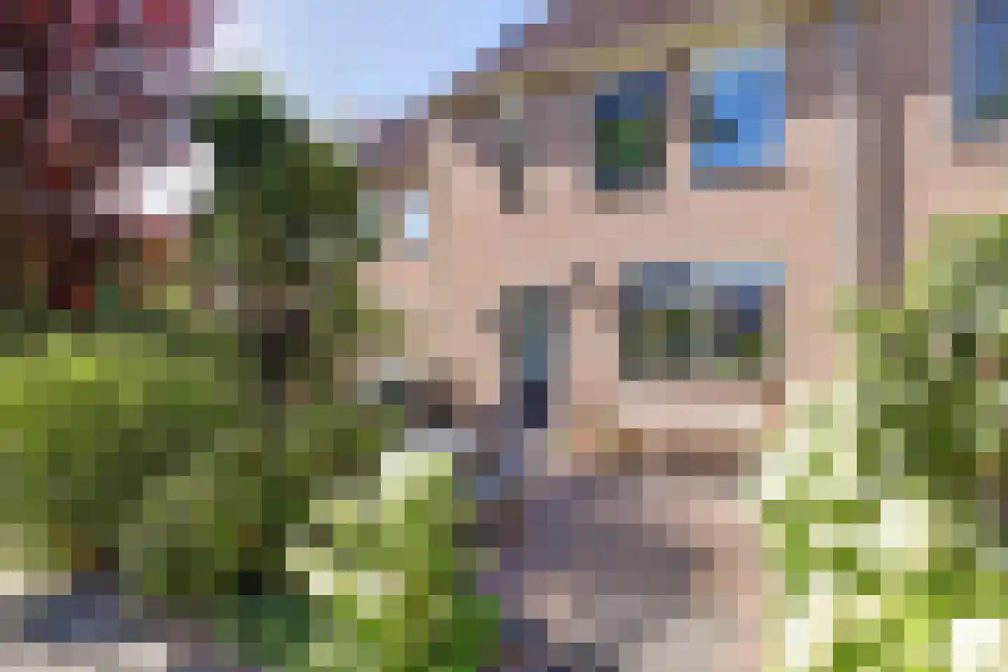 Mayersloot 44 Broek op Langedijk thumbnail 5