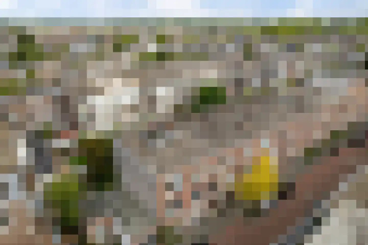 Maystraat 6 Den Haag thumbnail 5