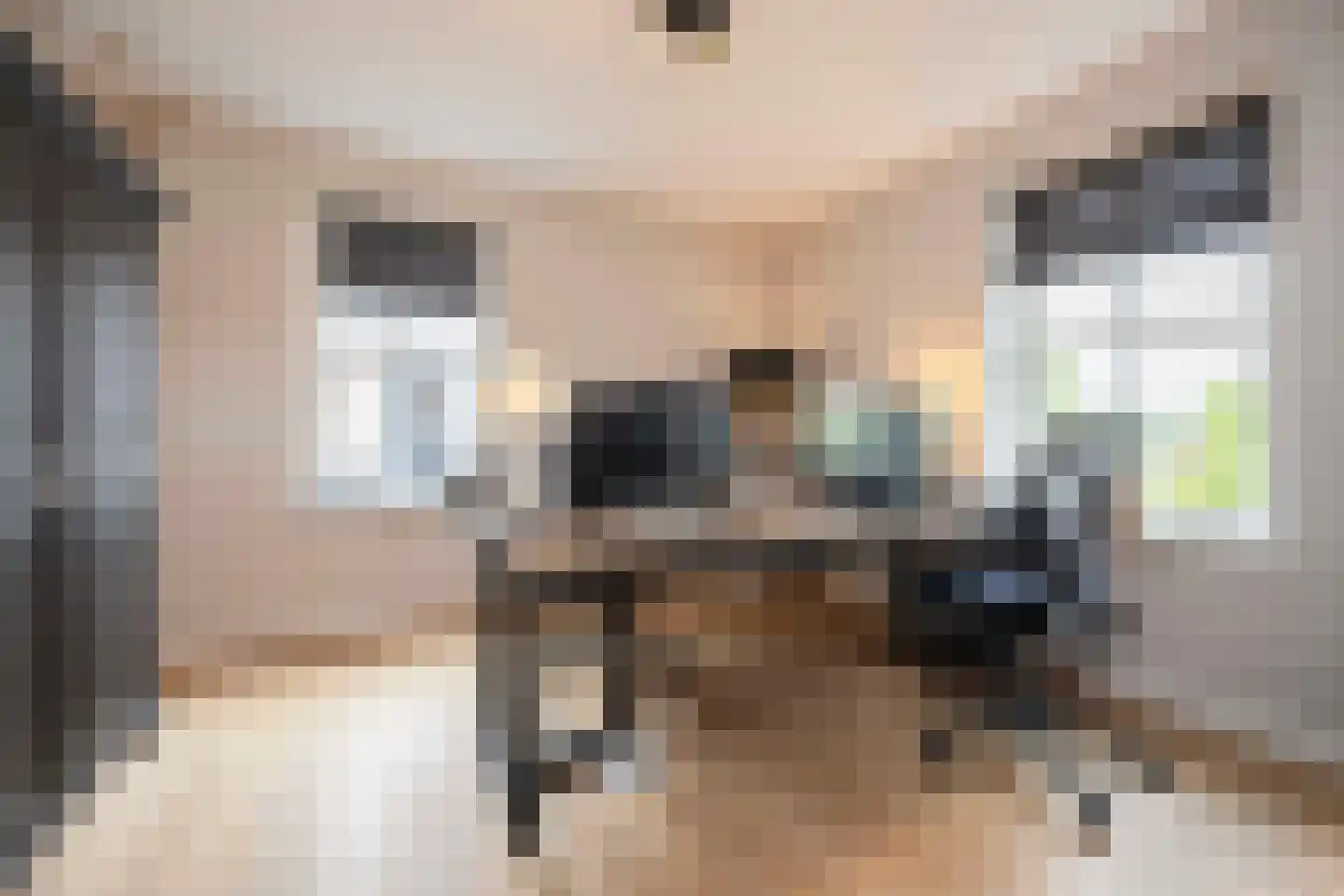 Mayweg 15 Elshout thumbnail 10