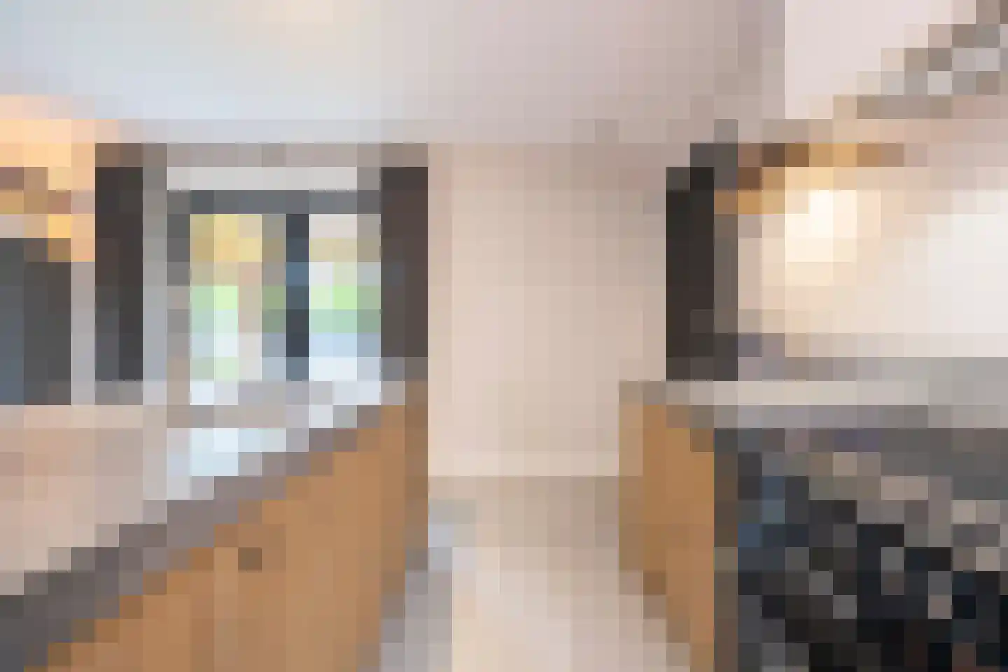 Mayweg 15 Elshout thumbnail 13