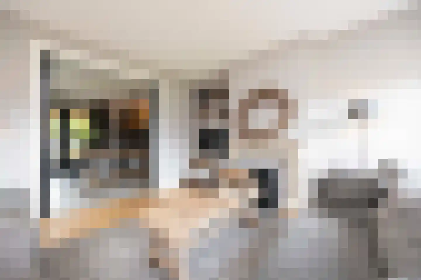 Mayweg 15 Elshout thumbnail 19