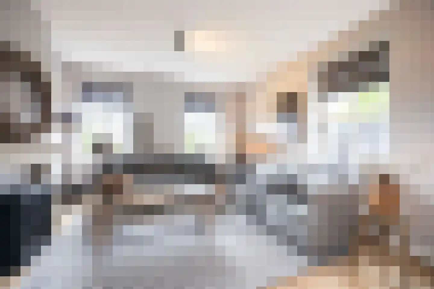 Mayweg 15 Elshout thumbnail 20