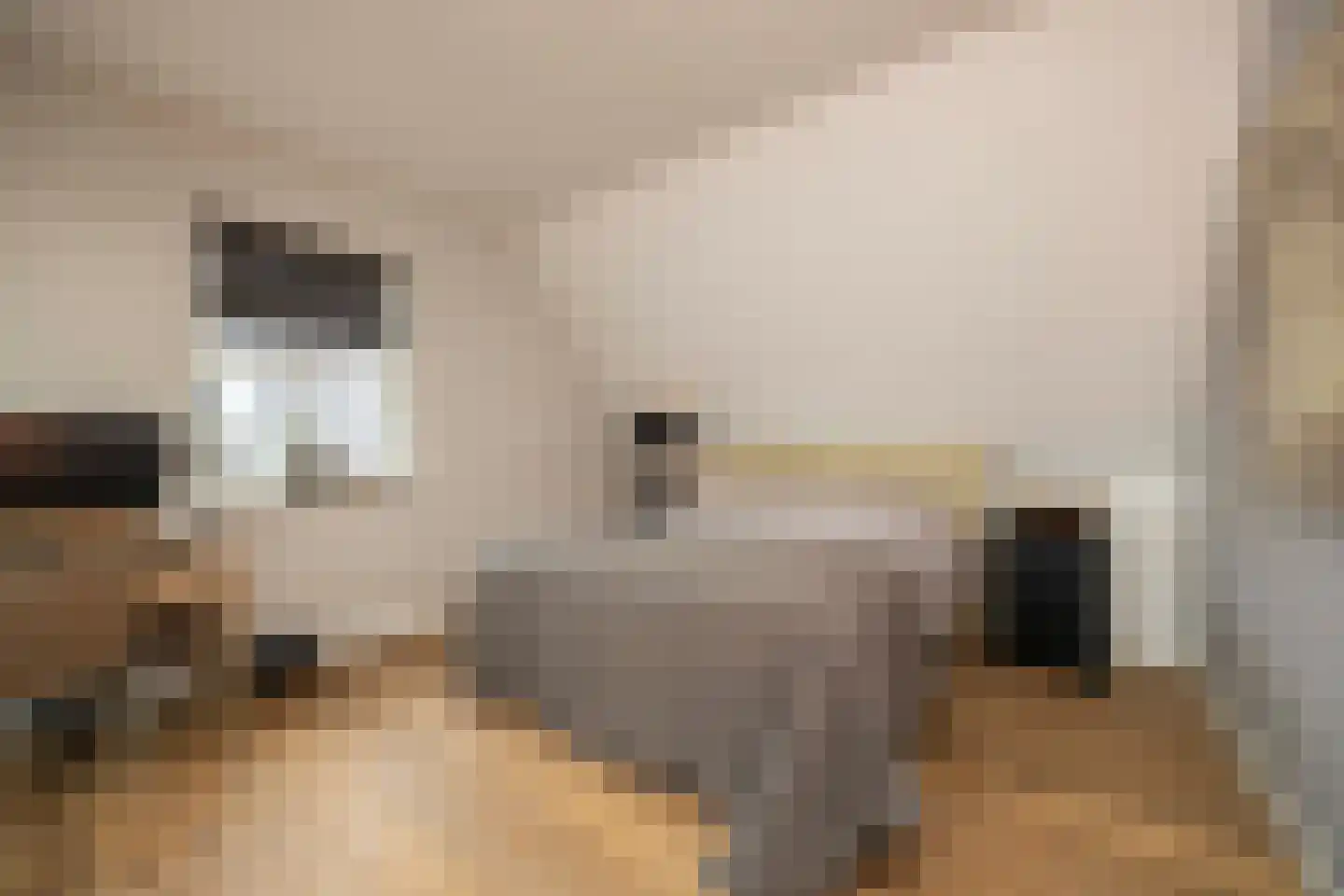 Mayweg 15 Elshout thumbnail 22