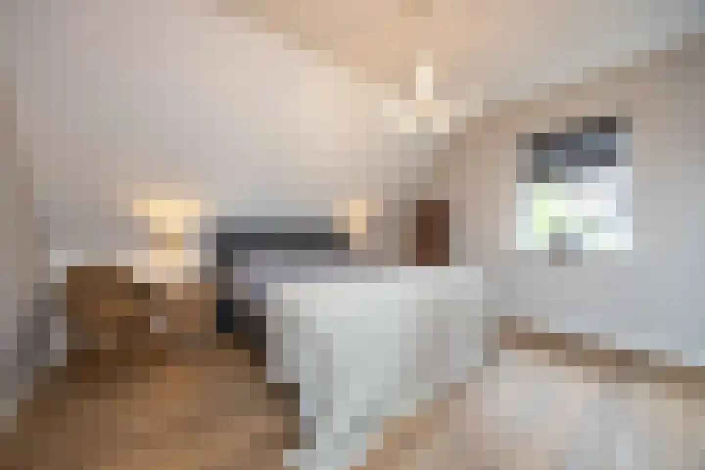Mayweg 15 Elshout thumbnail 26
