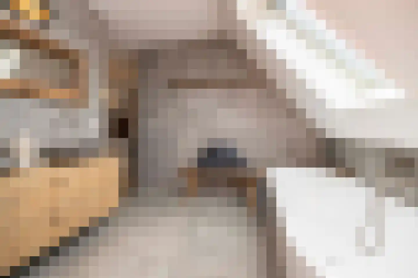 Mayweg 15 Elshout thumbnail 28