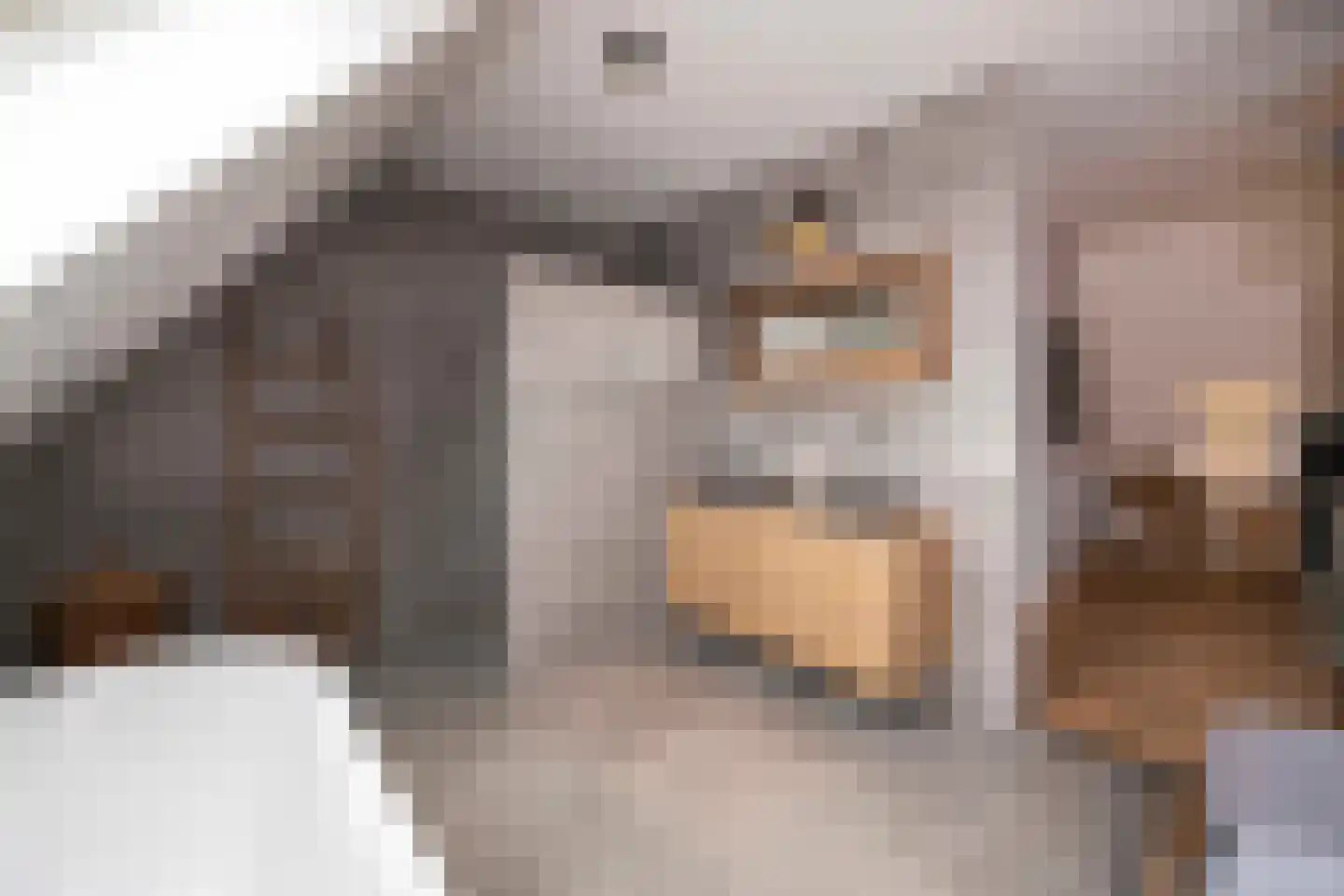 Mayweg 15 Elshout thumbnail 29