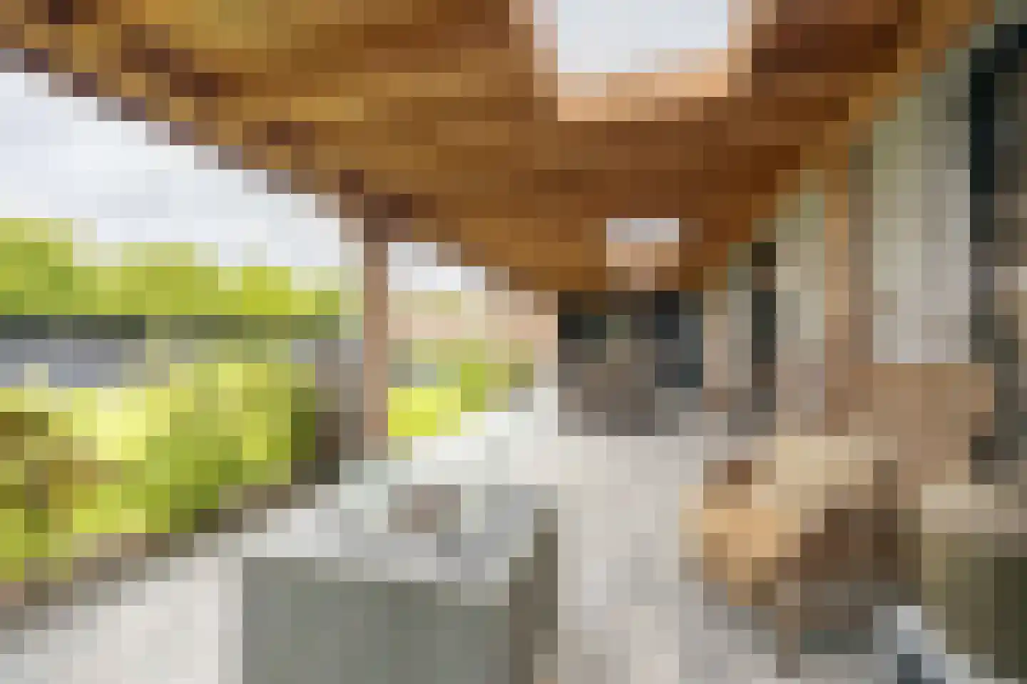 Mayweg 15 Elshout thumbnail 31