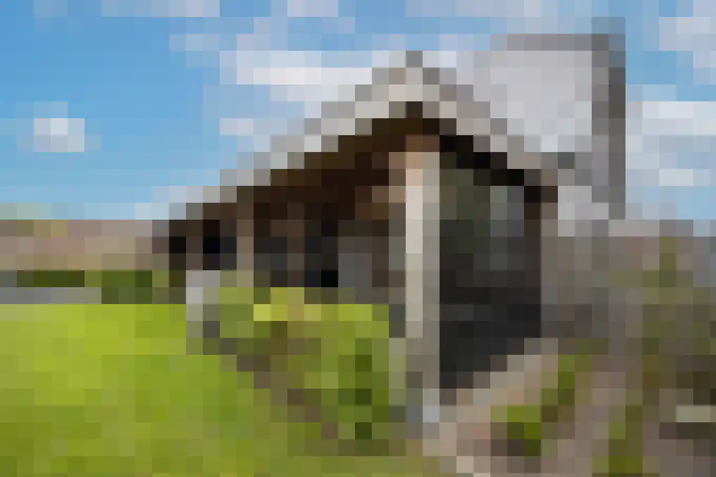 Mayweg 15 Elshout thumbnail 33