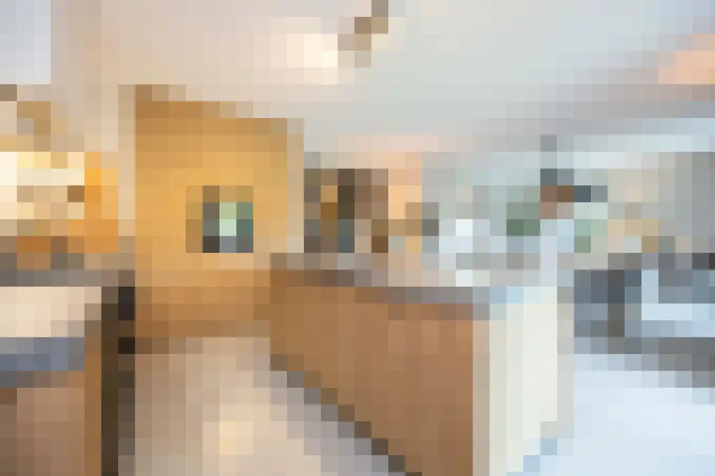 Mayweg 15 Elshout thumbnail 5