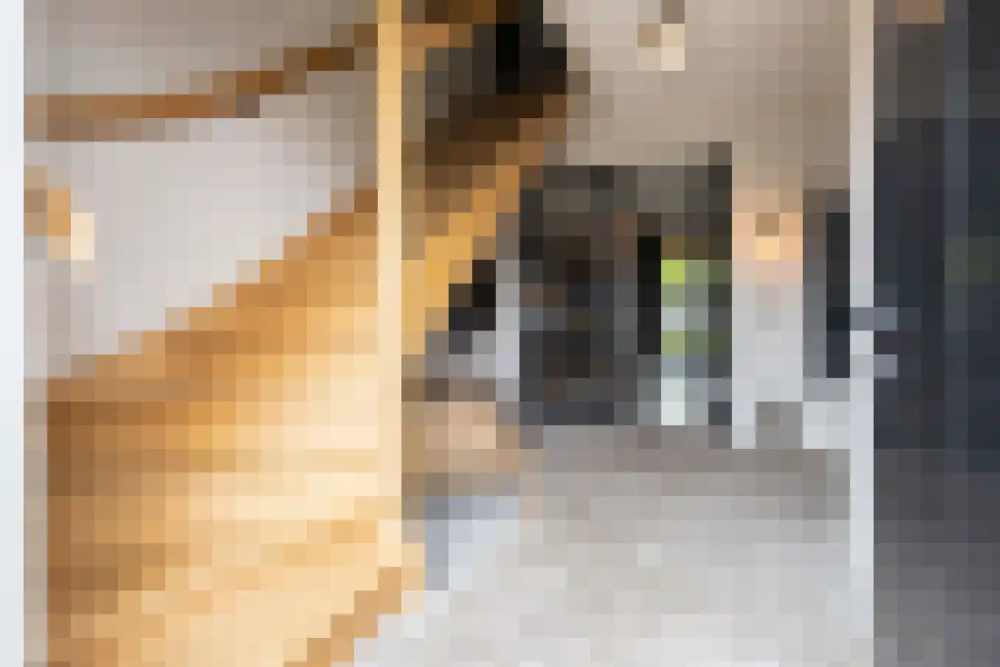 Mayweg 15 Elshout thumbnail 9