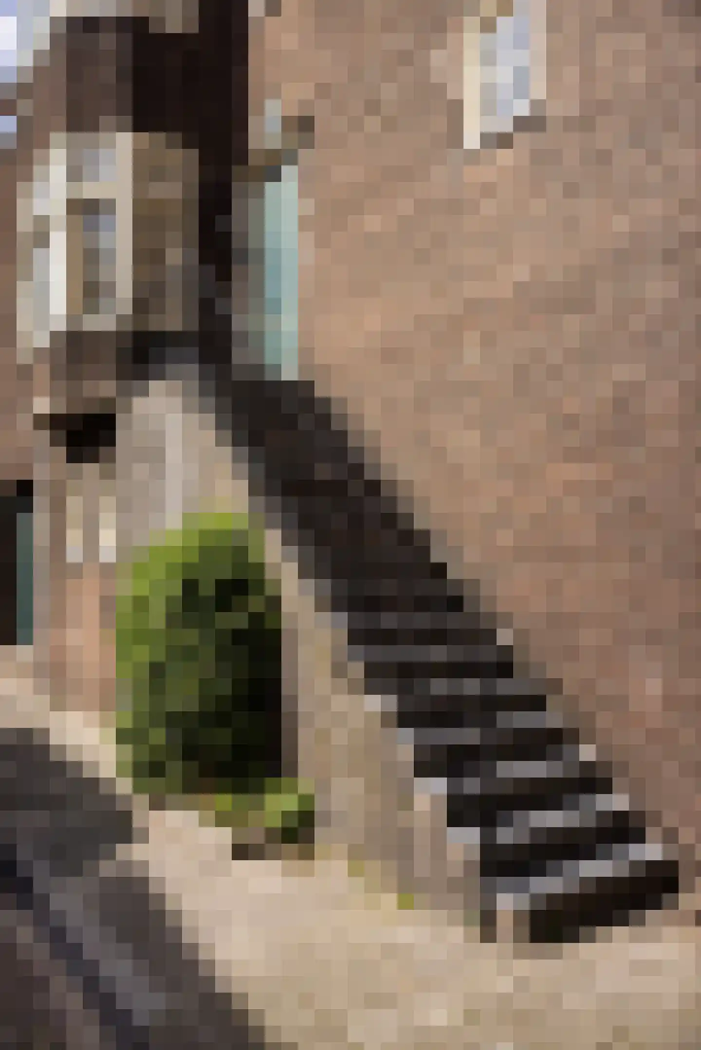 Mazelaarsstraat 1 Dordrecht thumbnail 8