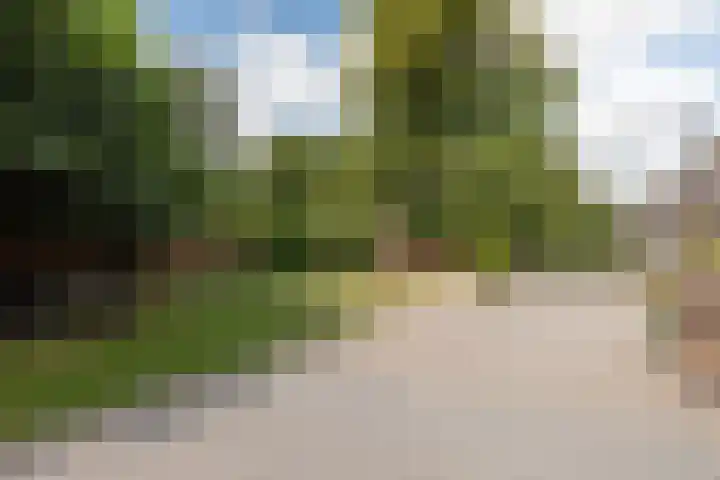 Mazenhofstraat 11 Garderen thumbnail 11