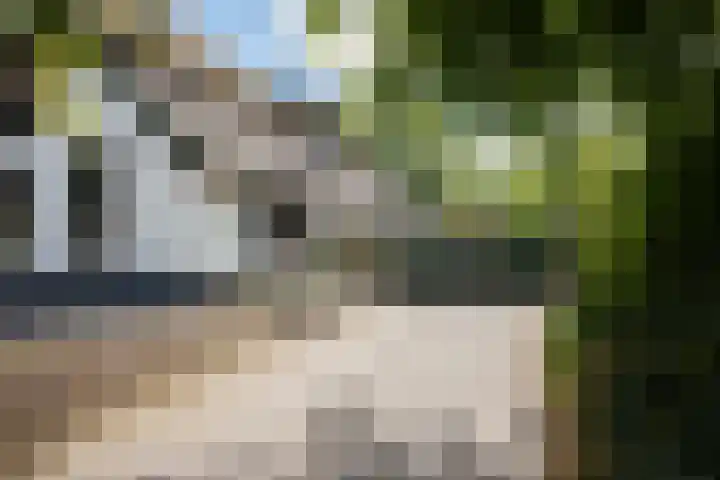 Mazenhofstraat 11 Garderen thumbnail 6