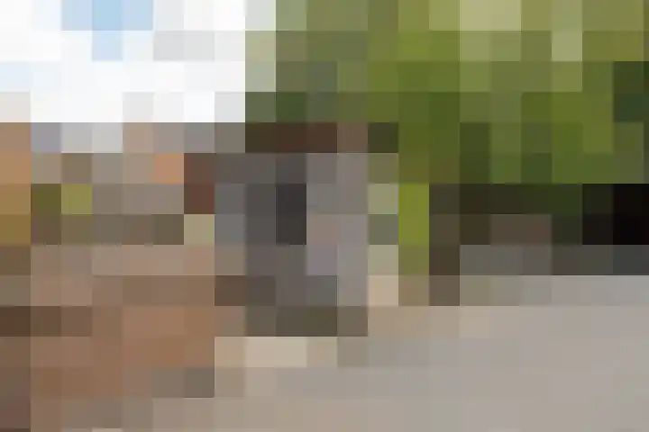 Mazenhofstraat 11 Garderen thumbnail 9