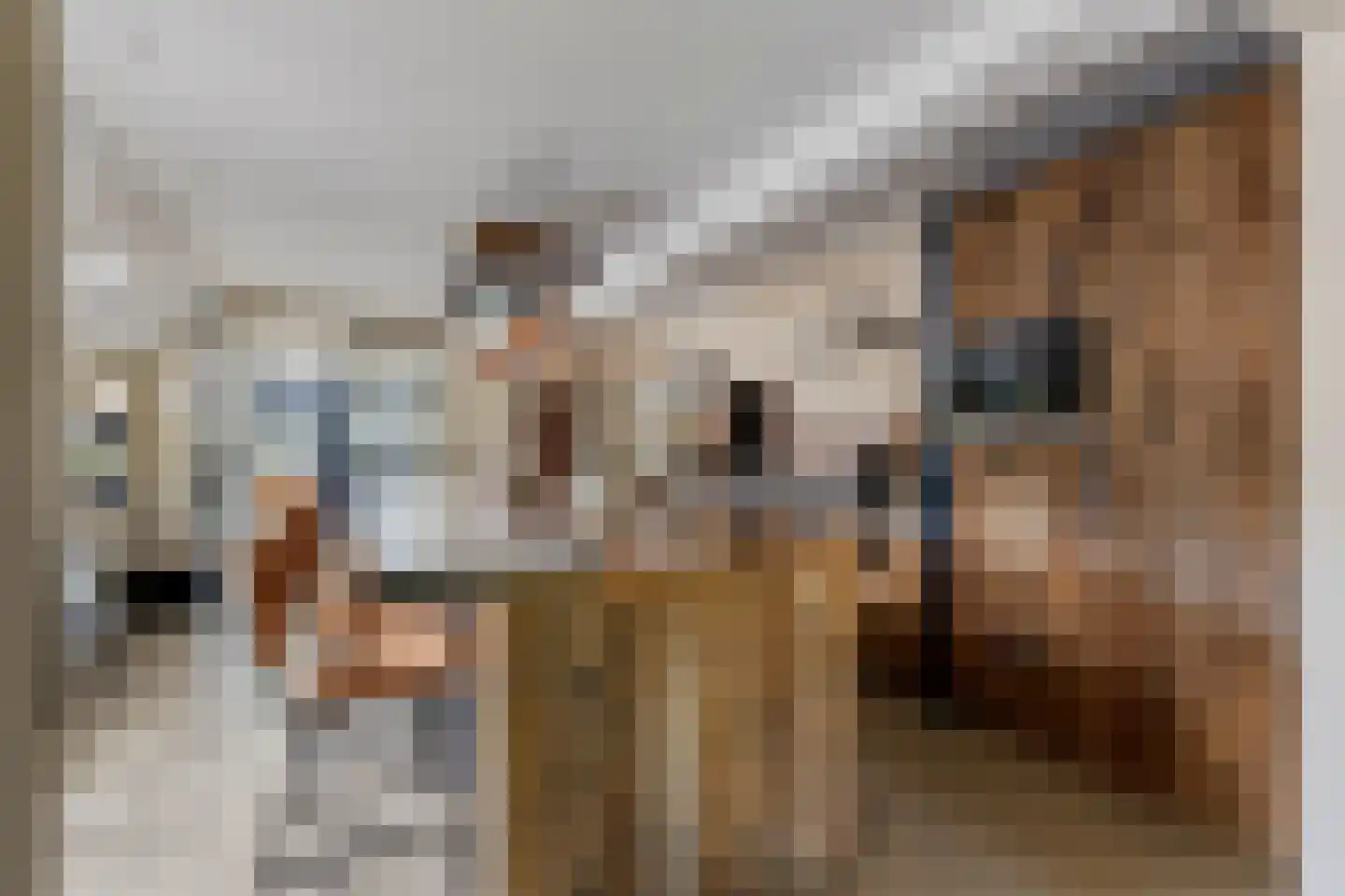Mazenhofstraat 9 Garderen thumbnail 14