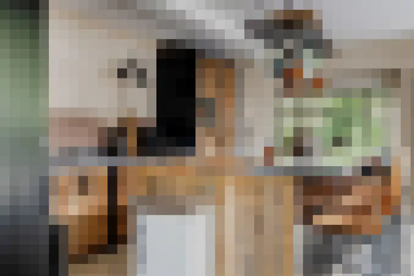 Mazenhofstraat 9 Garderen thumbnail 16