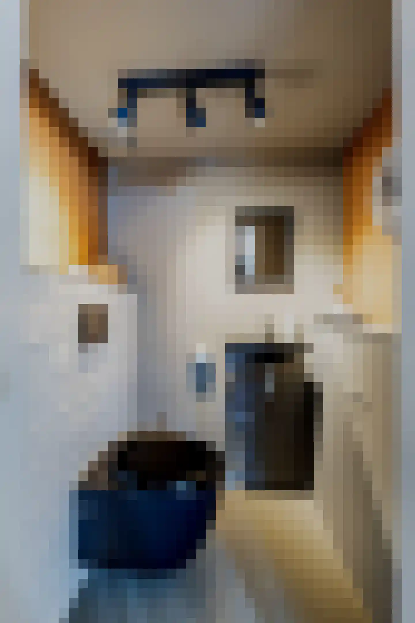Mazenhofstraat 9 Garderen thumbnail 22